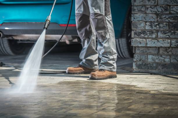 Best Boat and Dock Cleaning  in Ridgely, MD
