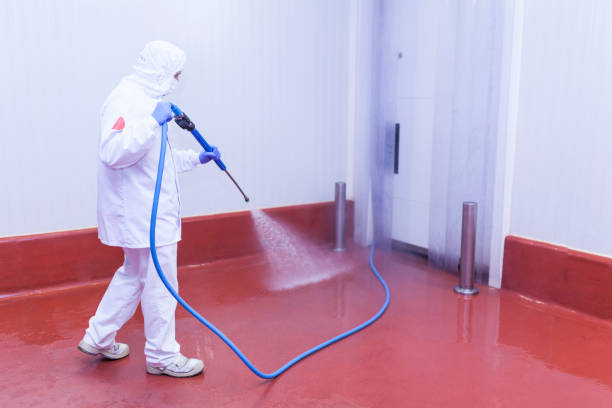 Best Driveway Pressure Washing  in Ridgely, MD